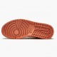 Dámské/Pánské Boty Nike Jordan 1 Mid Apricot Orange Apricot Agate Terra Blush DH4270-800