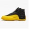 Pánské Boty Nike Jordan 12 Retro University Gold 130690-070 