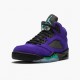 Pánské Boty Nike Jordan 5 Retro Alternate Grape 136027-500