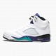 Pánské Boty Nike Jordan 5 Retro Grape 136027-108