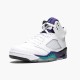 Pánské Boty Nike Jordan 5 Retro Grape 136027-108